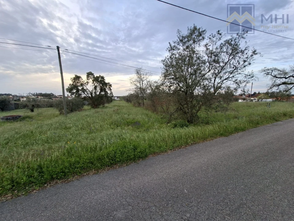 Terreno para Venda em Pelariga Foto 7