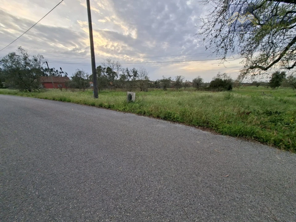 Terreno para Venda em Pelariga Foto 8