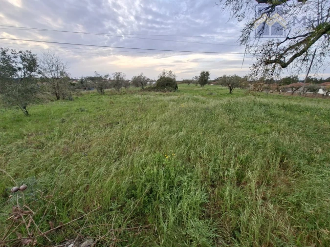 Terreno para Venda em Pelariga