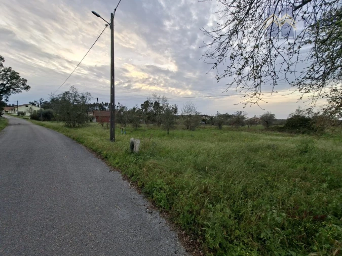 Terreno para Venda em Pelariga Foto 2