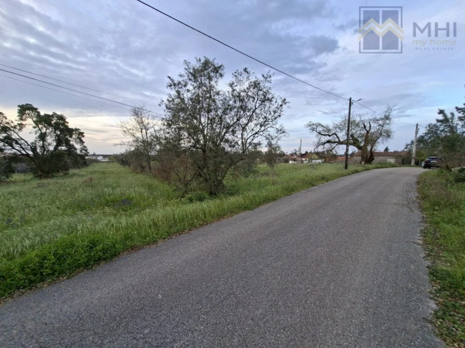 Terreno para Venda em Pelariga Foto 9