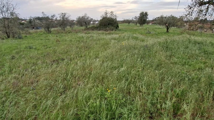 Terreno para Venda em Pelariga