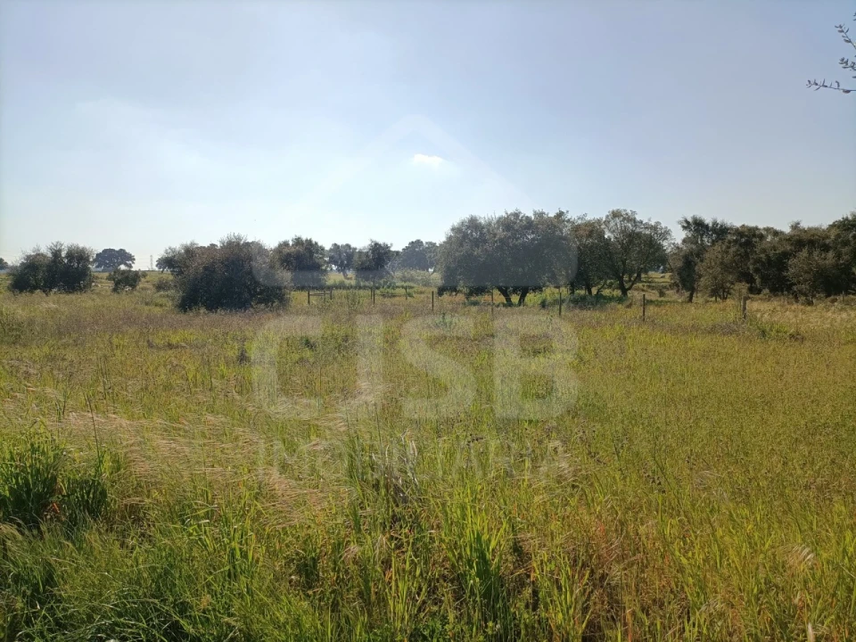 Terreno para Venda em Barrosa Foto 2
