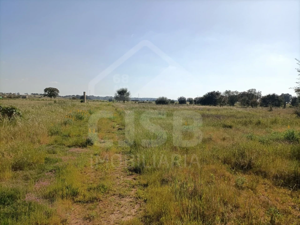 Terreno para Venda em Barrosa Foto 3