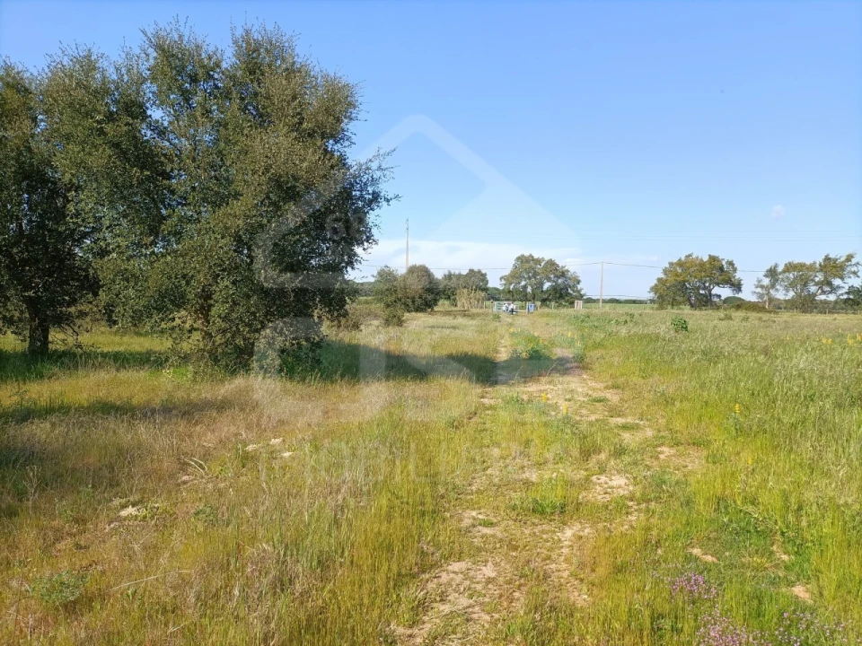 Terreno para Venda em Barrosa Foto 9