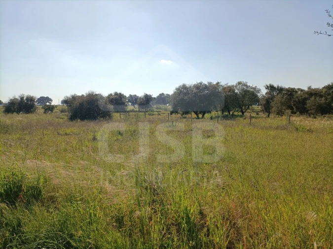 Terreno para Venda em Barrosa Foto 2