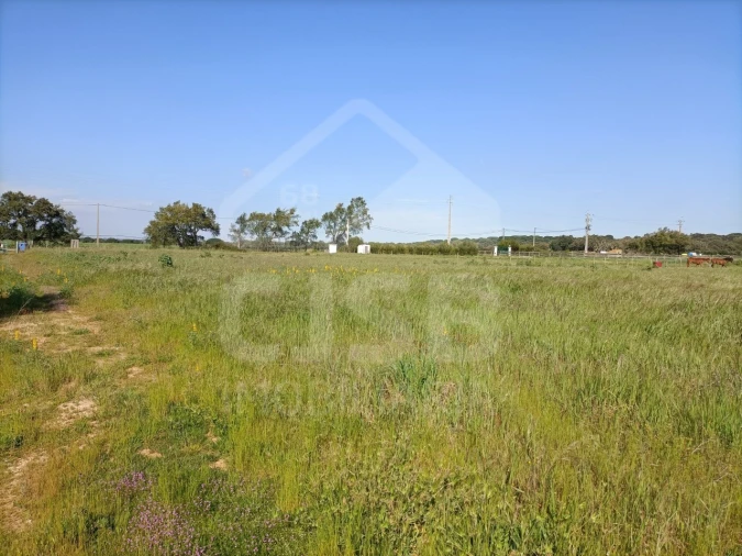 Terreno para Venda em Barrosa Foto 4