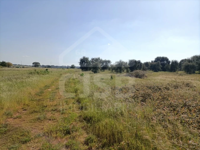 Terreno para Venda em Barrosa Foto 6