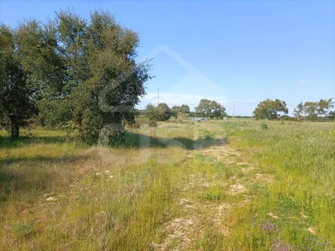 Terreno para Venda em Barrosa Foto 9