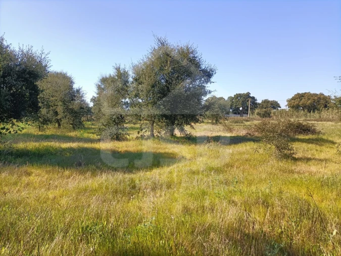 Terreno para Venda em Barrosa Foto 1