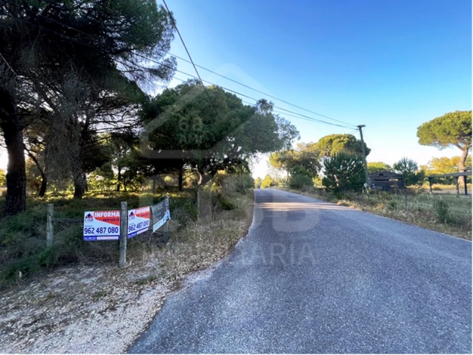 Terreno para Venda em Santo Estêvão Foto 2