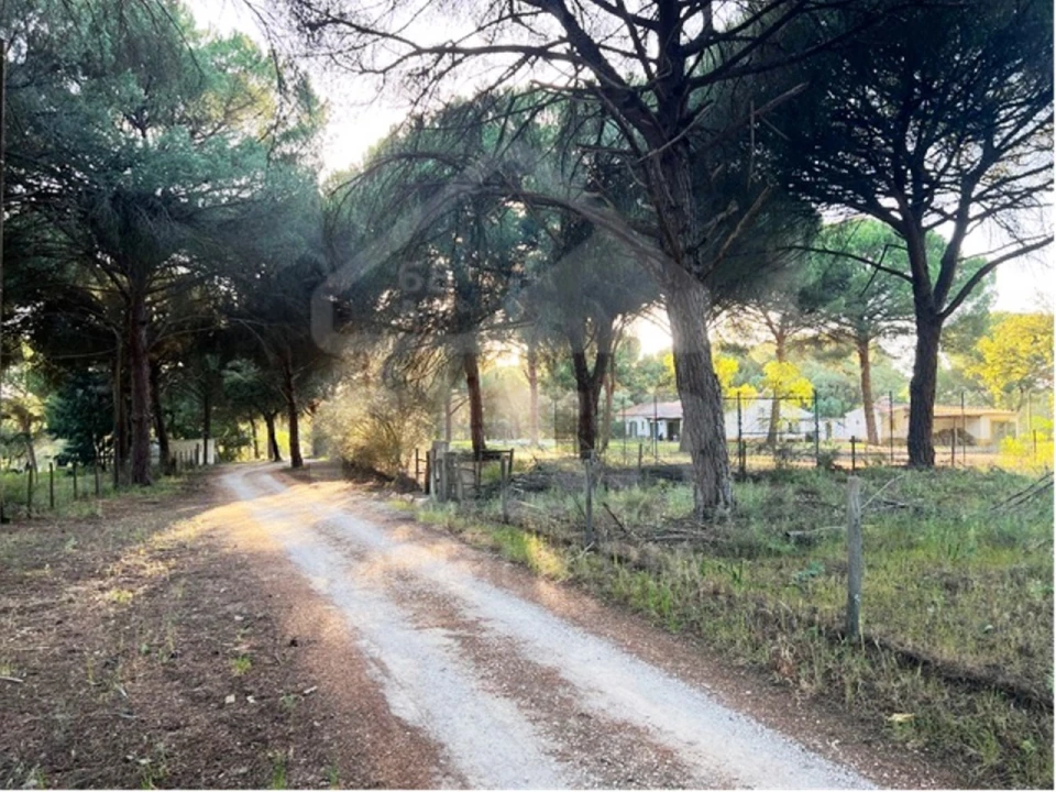 Terreno para Venda em Santo Estêvão Foto 4