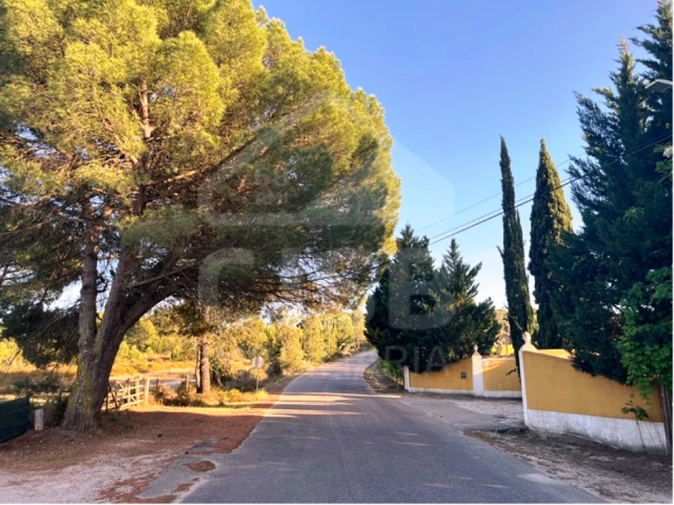 Terreno para Venda em Santo Estêvão Foto 14