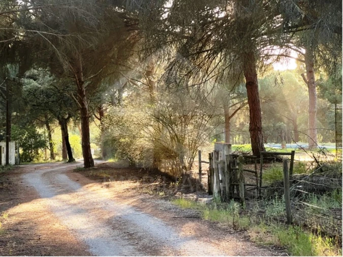 Terreno para Venda em Santo Estêvão Foto 3