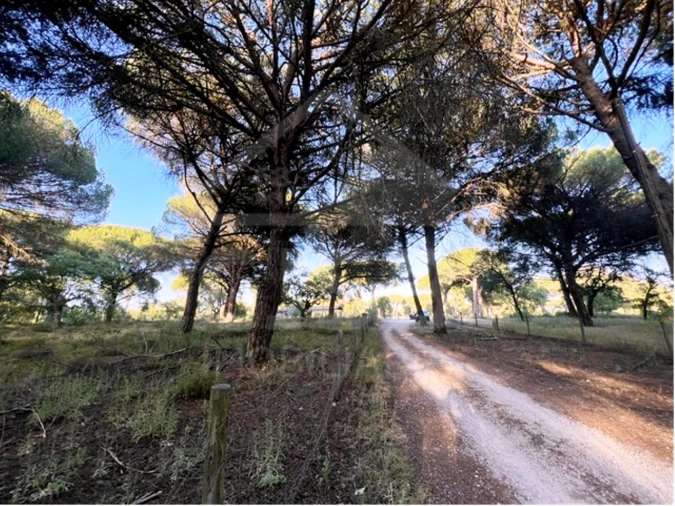 Terreno para Venda em Santo Estêvão Foto 6