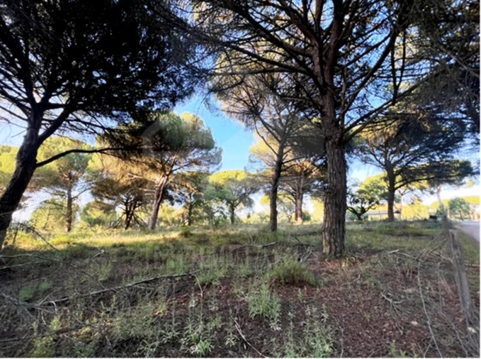 Terreno para Venda em Santo Estêvão Foto 7