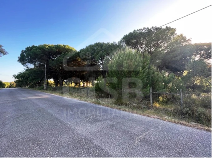 Terreno para Venda em Santo Estêvão Foto 8