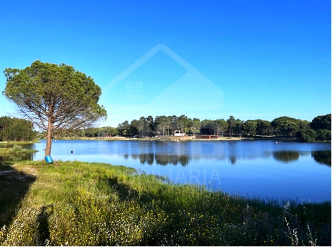 Terreno para Venda em Santo Estêvão Foto 12