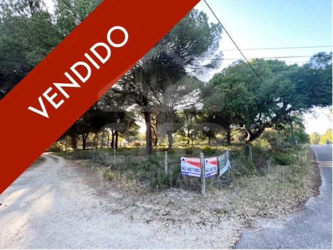 Terreno para Venda em Santo Estêvão Foto 1