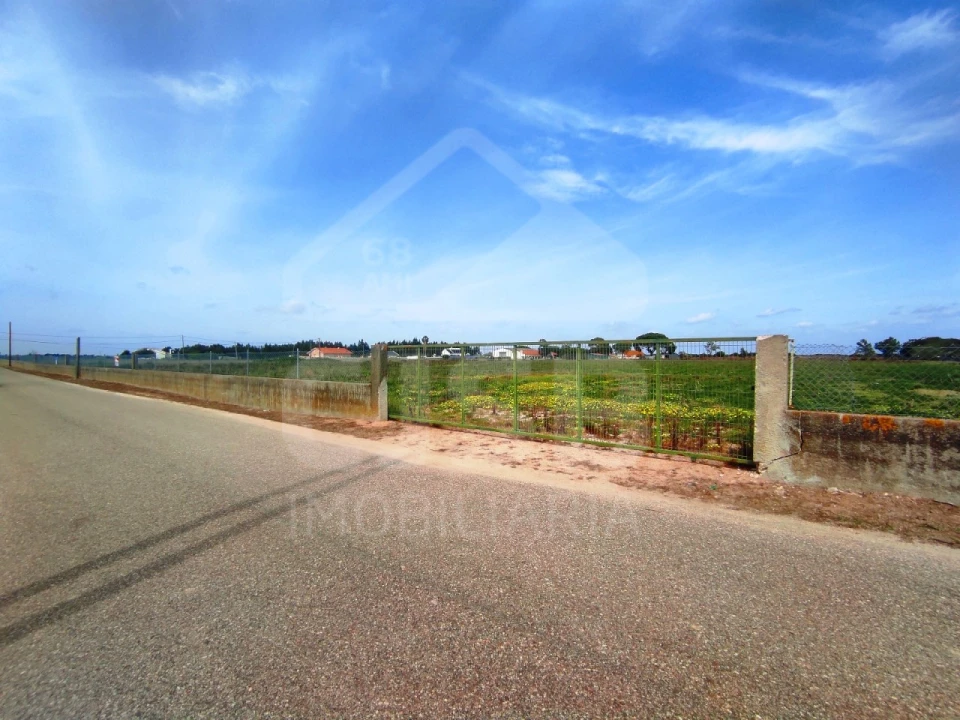 Terreno para Venda em Benavente Foto 5