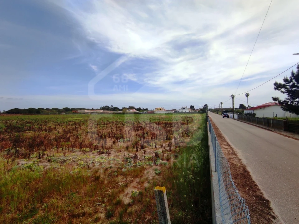 Terreno para Venda em Benavente Foto 8