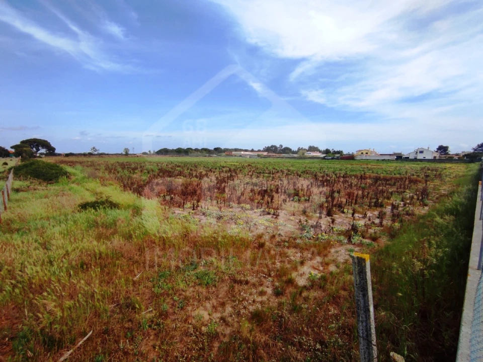 Terreno para Venda em Benavente Foto 9