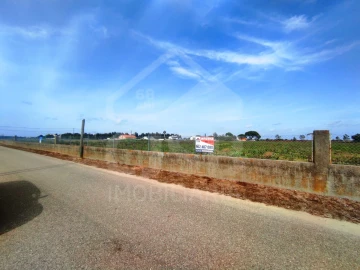 Terreno para Venda em Benavente