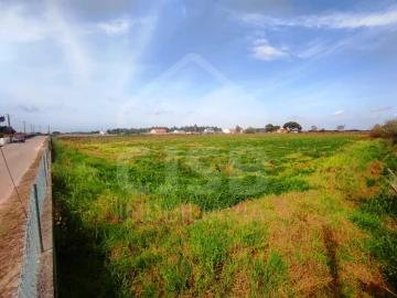 Terreno para Venda em Benavente