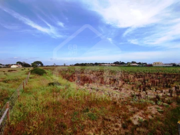 Terreno para Venda em Benavente