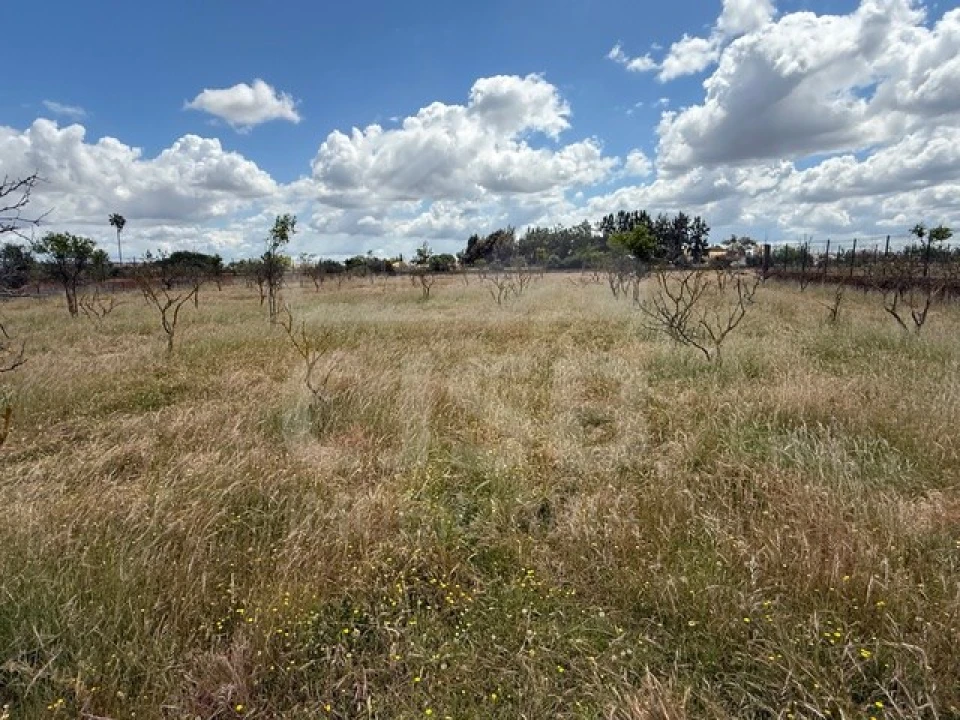 Terreno para Venda em Samora Correia Foto 2