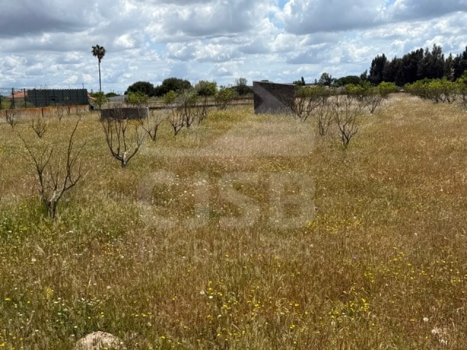 Terreno para Venda em Samora Correia Foto 9