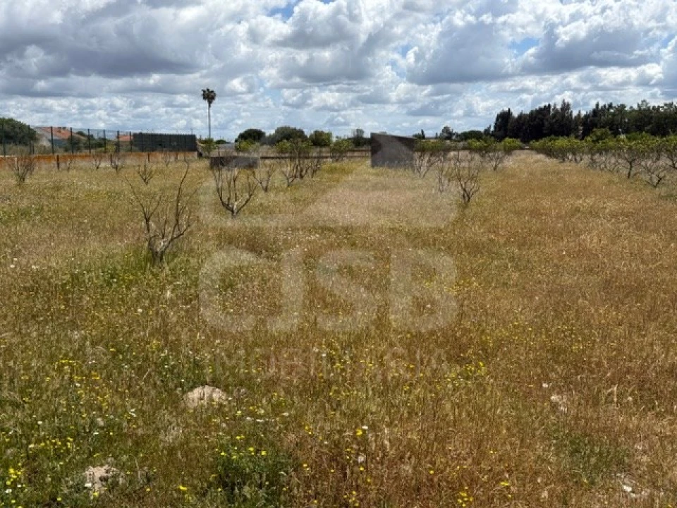 Terreno para Venda em Samora Correia Foto 10