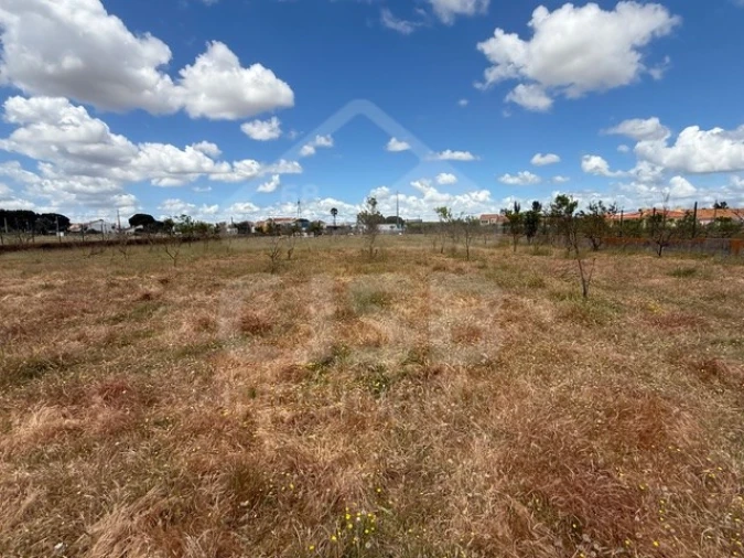 Terreno para Venda em Samora Correia Foto 6
