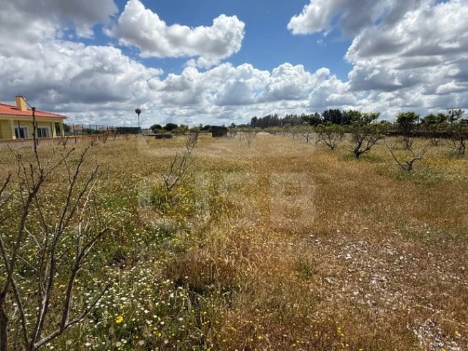 Terreno para Venda em Samora Correia Foto 7