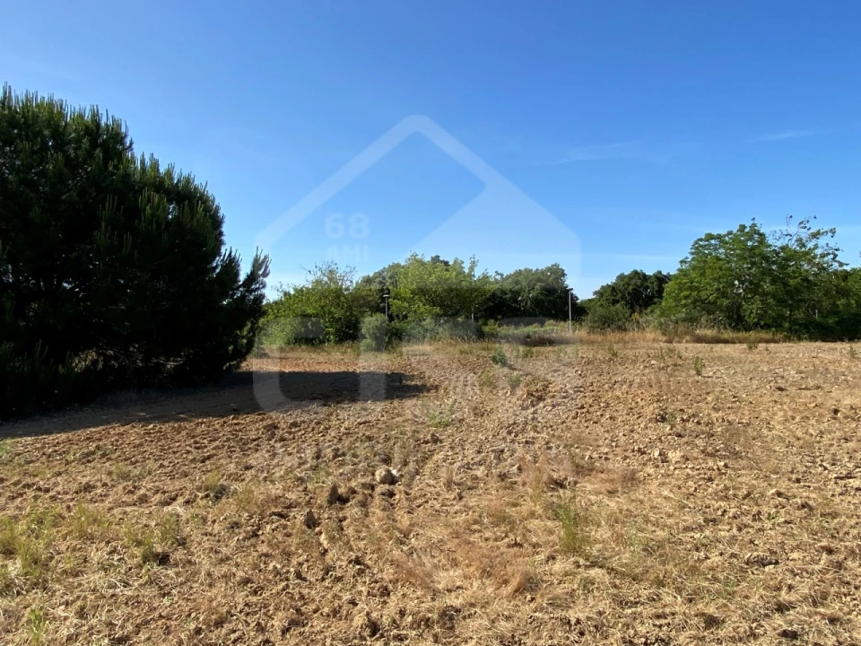 Terreno para Venda em Santo Estêvão Foto 4