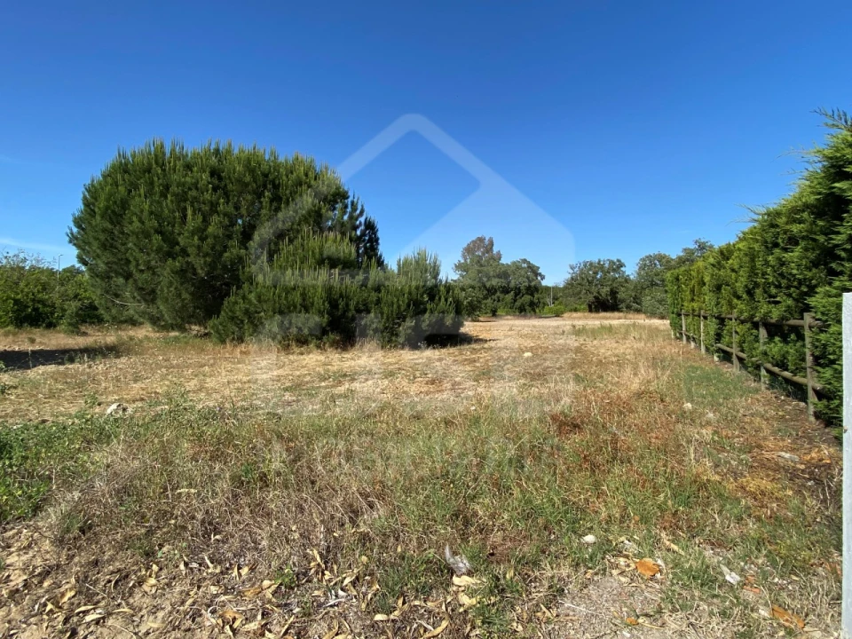 Terreno para Venda em Santo Estêvão Foto 6