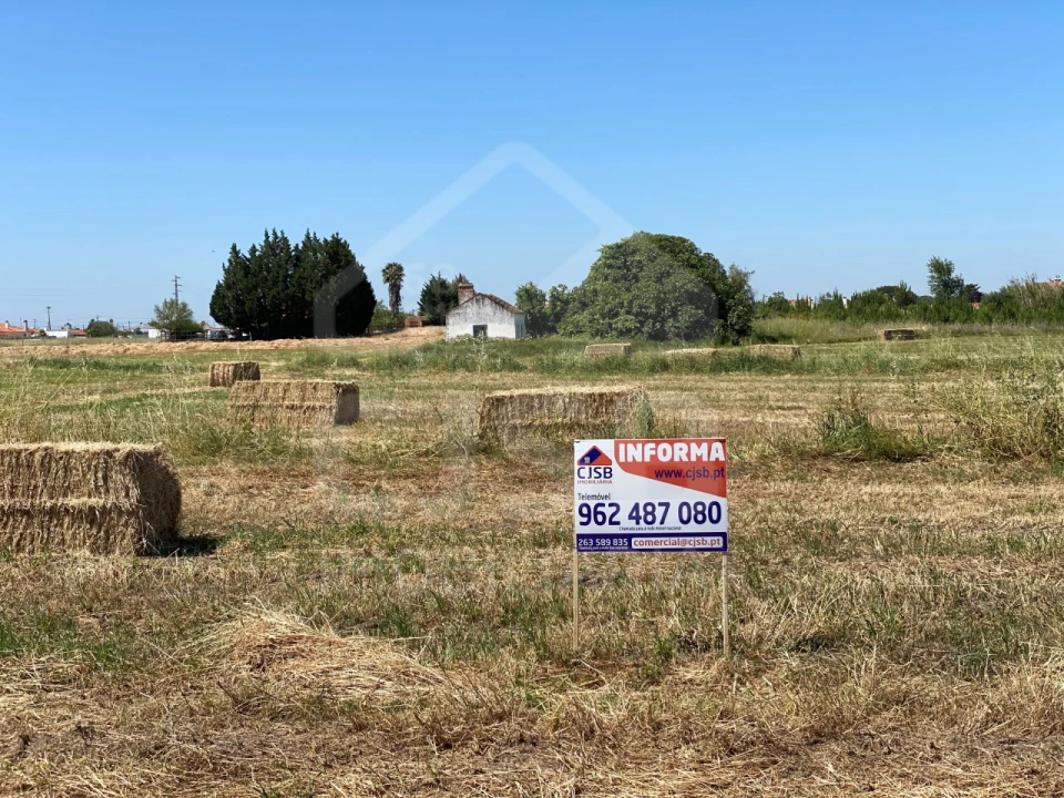 Terreno para Venda em Salvaterra de Magos e Foros de Salvaterra Foto 10