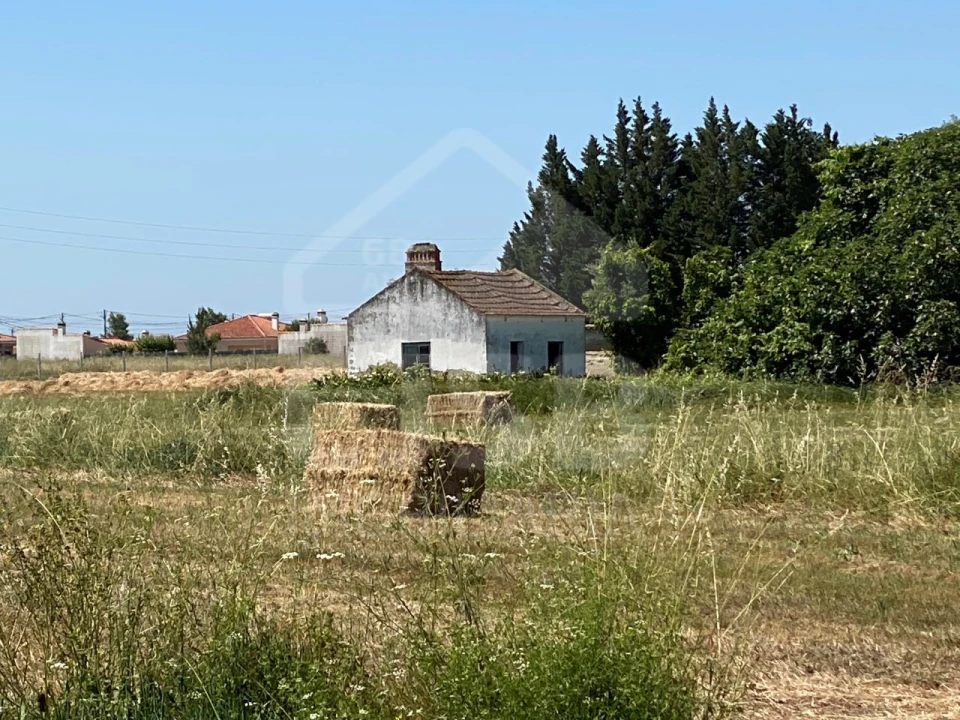 Terreno para Venda em Salvaterra de Magos e Foros de Salvaterra Foto 9