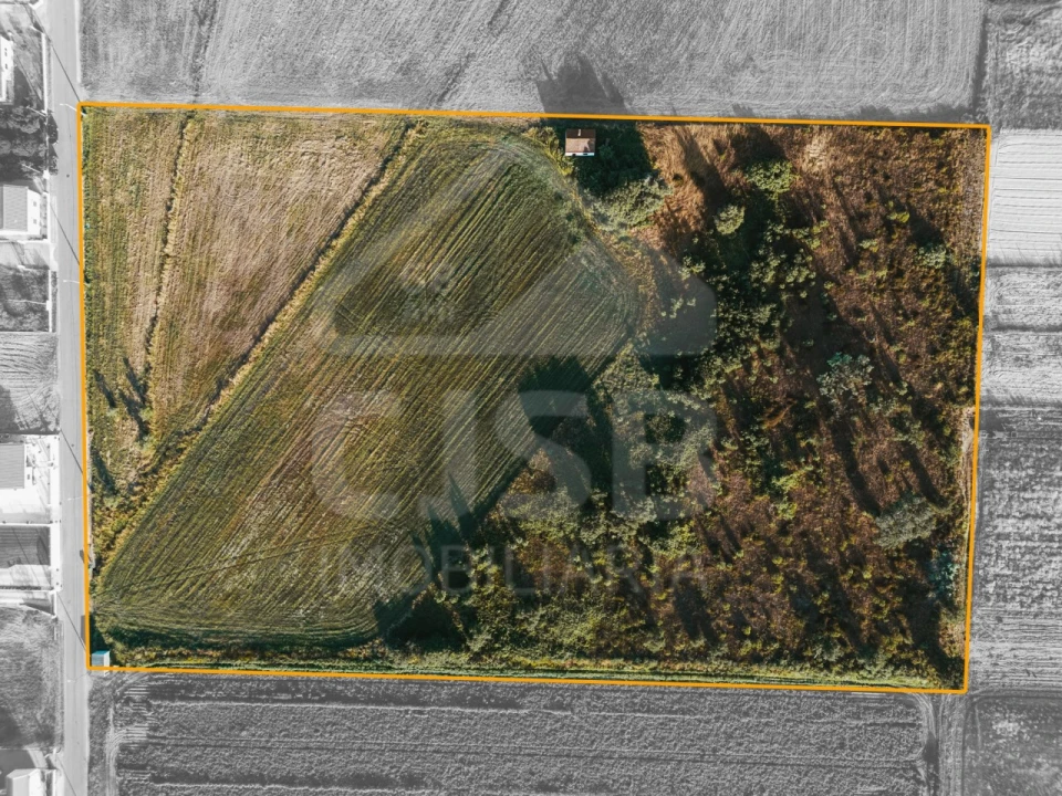 Terreno para Venda em Salvaterra de Magos e Foros de Salvaterra Foto 8