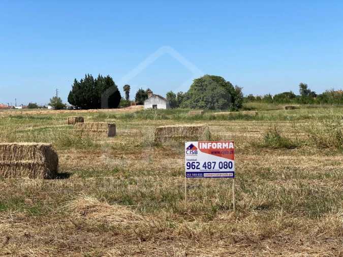 Terreno para Venda em Salvaterra de Magos e Foros de Salvaterra Foto 10