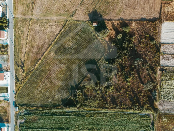 Terreno para Venda em Salvaterra de Magos e Foros de Salvaterra Foto 7