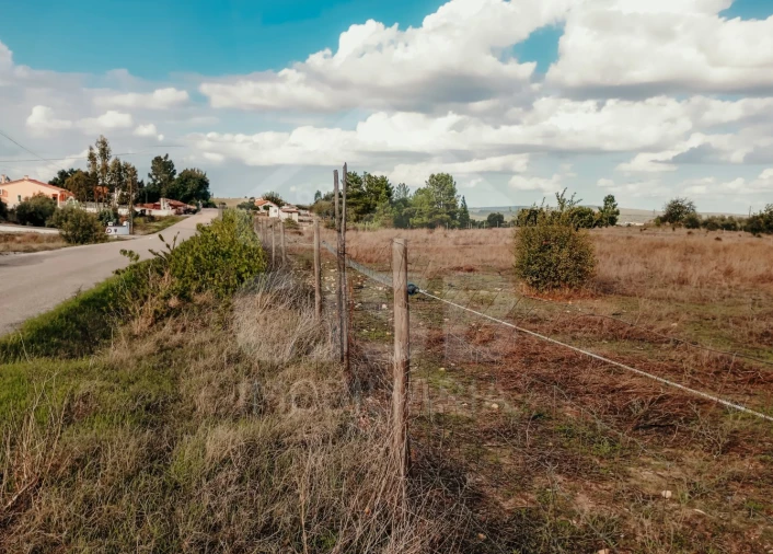 Terreno para Venda em Glória do Ribatejo e Granho Foto 9