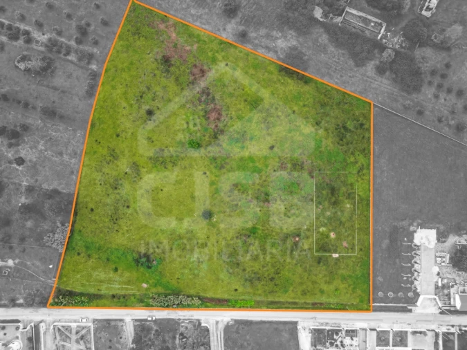 Terreno para Venda em Glória do Ribatejo e Granho Foto 6