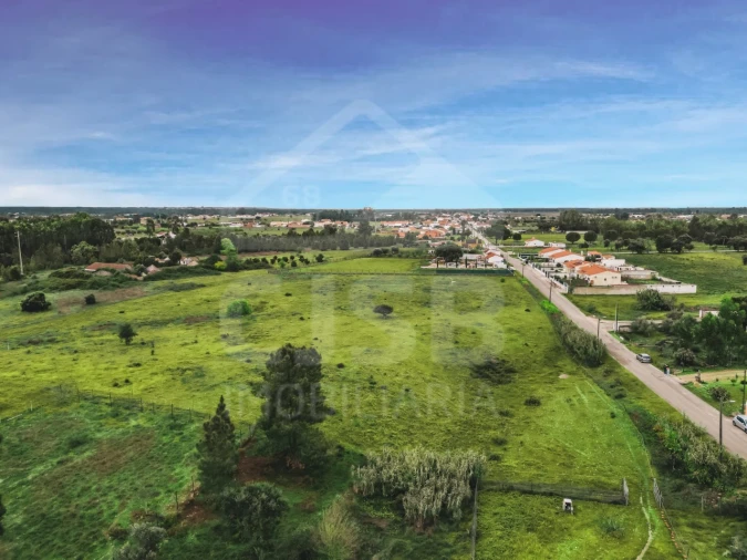 Terreno para Venda em Glória do Ribatejo e Granho