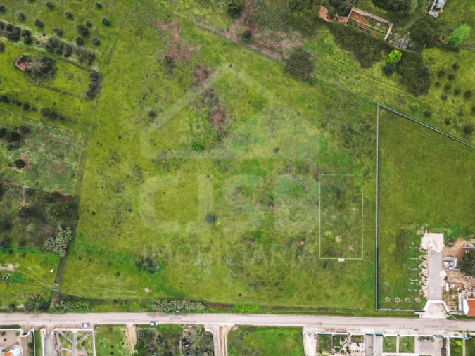 Terreno para Venda em Glória do Ribatejo e Granho Foto 5