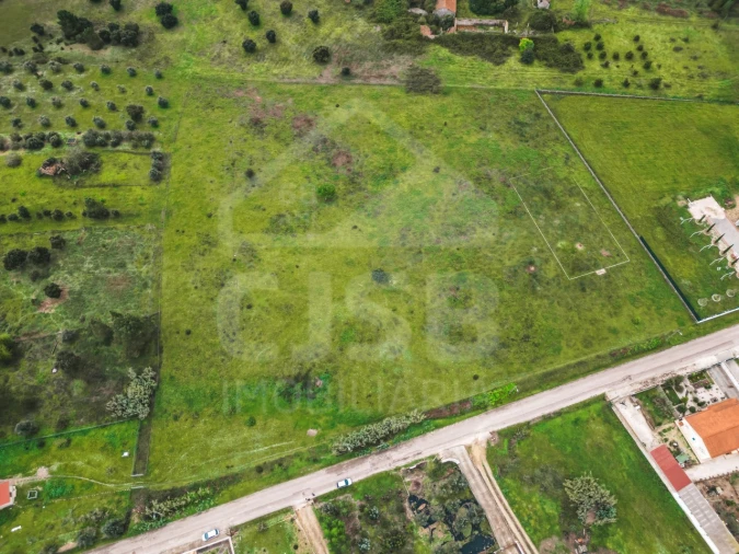 Terreno para Venda em Glória do Ribatejo e Granho Foto 7