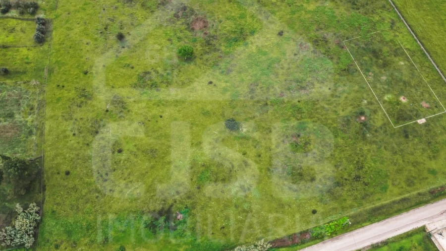 Terreno para Venda em Glória do Ribatejo e Granho