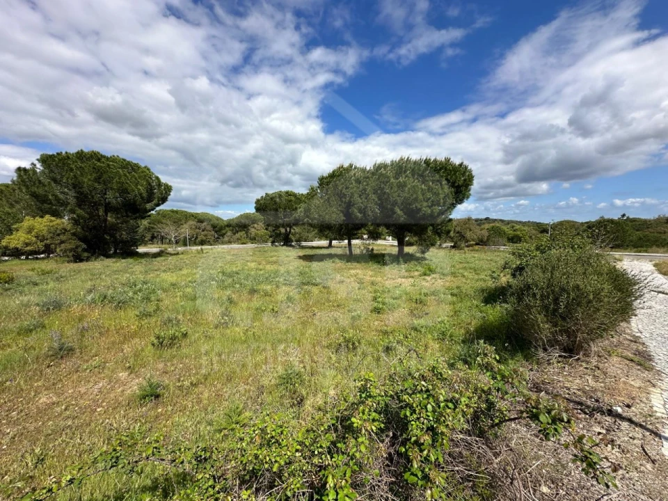 Terreno para Venda em Santo Estêvão Foto 2