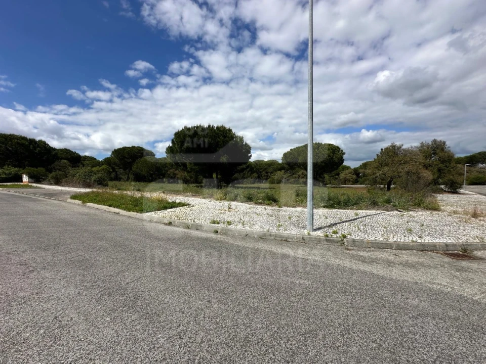 Terreno para Venda em Santo Estêvão Foto 11