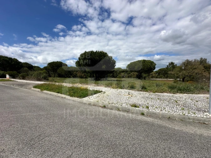 Terreno para Venda em Santo Estêvão Foto 1